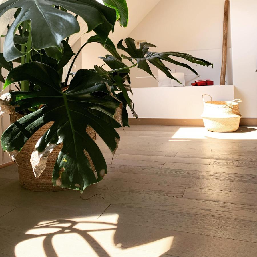 Maison D'Artiste Gent Eksteriør bilde